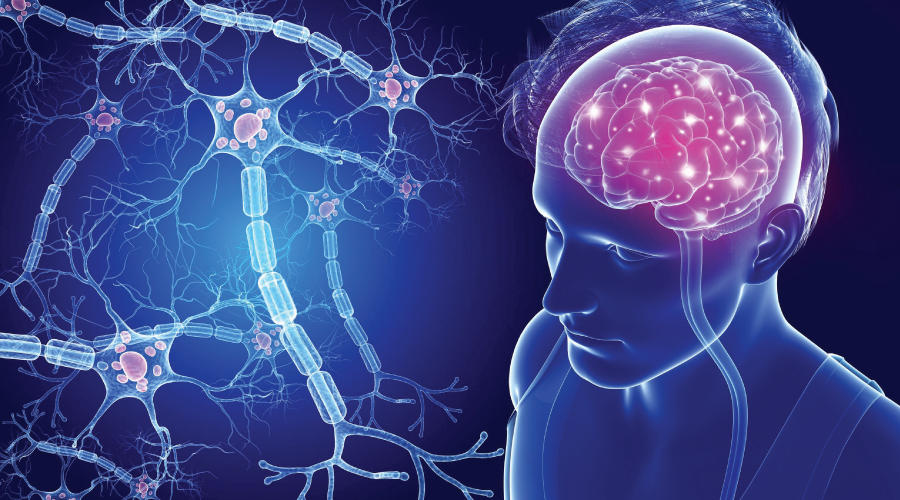 Multiple Sclerosis and Hyperbaric Oxygen Therapy Studies